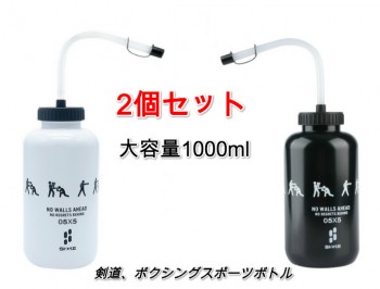 2個セットウォーターボトル本体(ストロー付きタイプ)【剣道 剣道具 小物 水筒 スポーツボトル